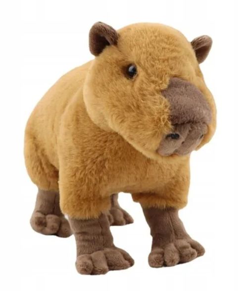Pluszak Kapibara Capybara Maskotka Dla Dzieci 30cm