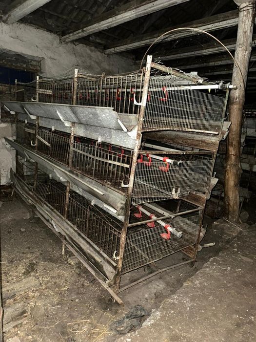 Клітки для курчат