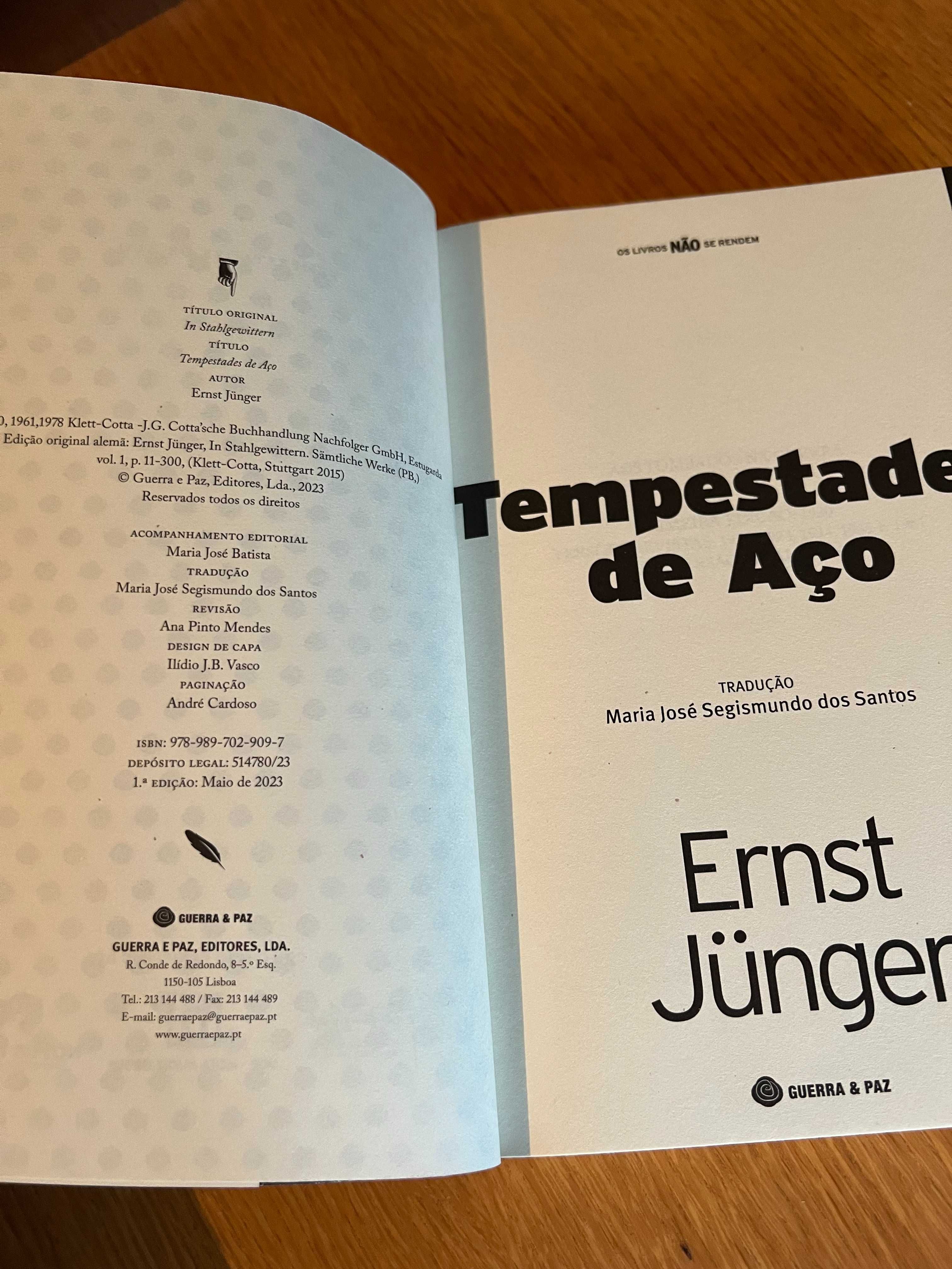Tempestades de Aço       ERNST JUNGER