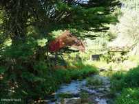 Terreno de 2.000m2 em Carvalhal, Bombarral