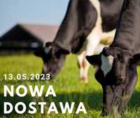 13.05 (sobota) Nowa dostawa krów mlecznych z Niemiec