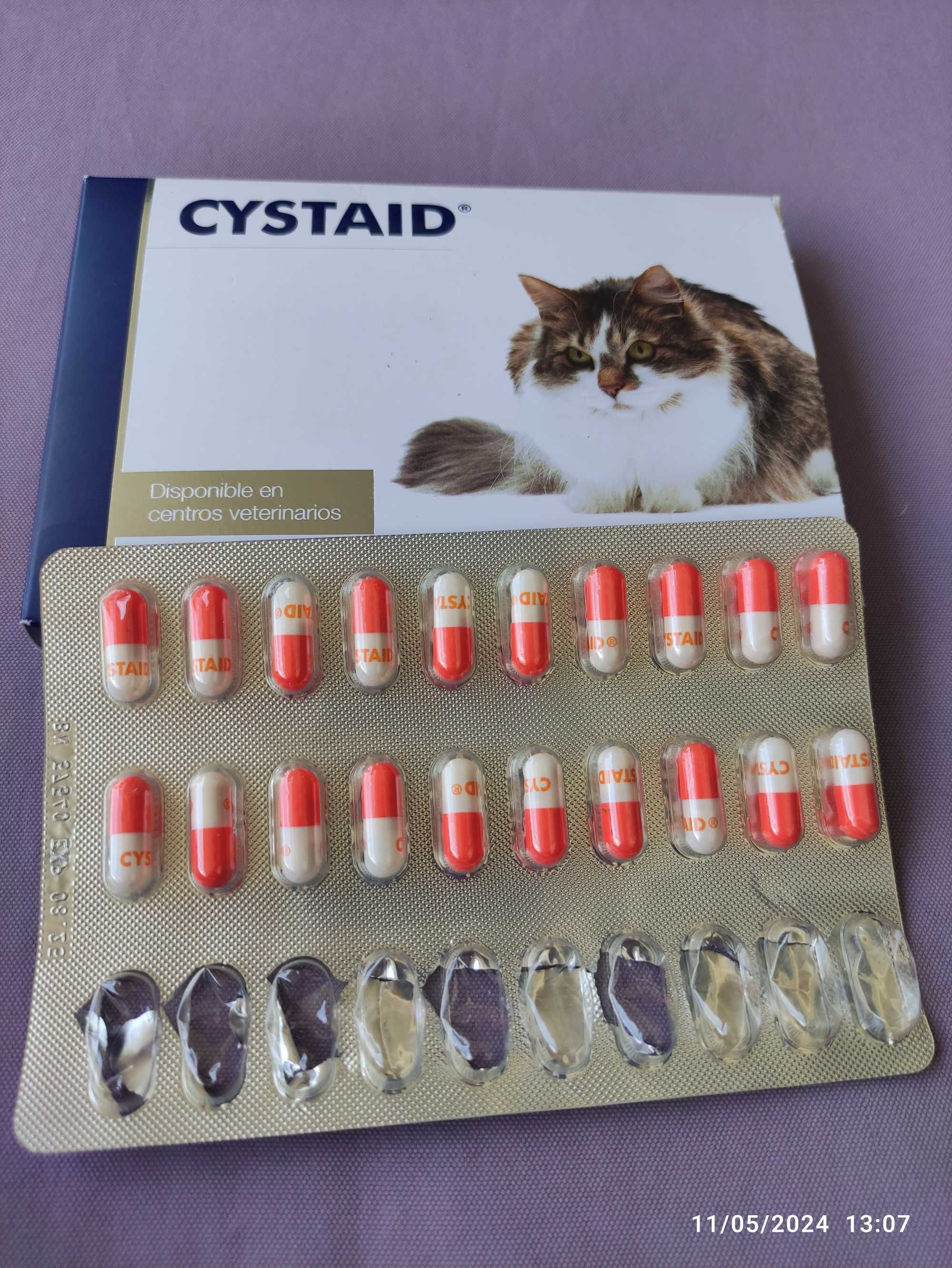 Cystaid gatos 20 cápsulas