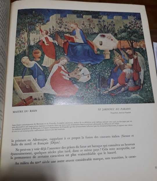 Cogniat Raymond‎
‎Histoire de la peinture tome I‎