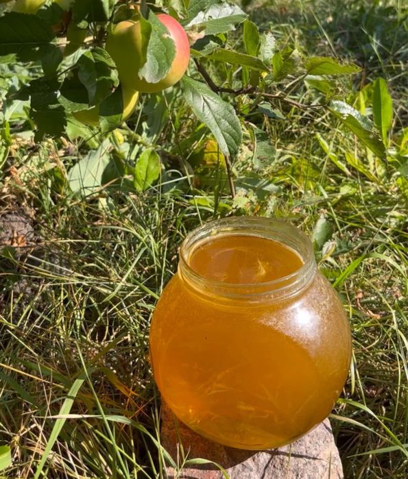 Свіжий мед із власної пасіки