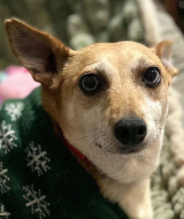 Żabka już tyle czeka na Ciebie ...