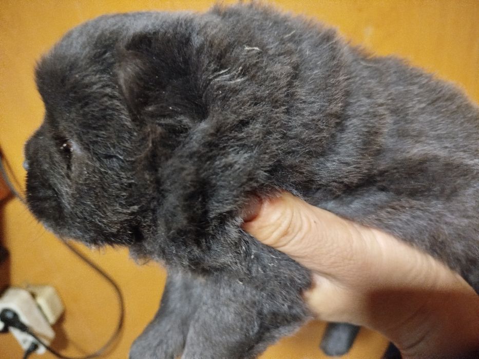 Хлопчик готовий до бронювання