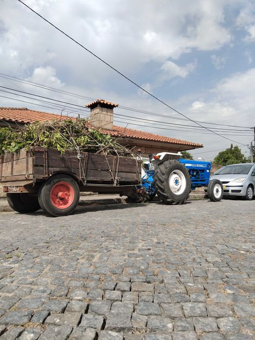 Serviços agrícolas