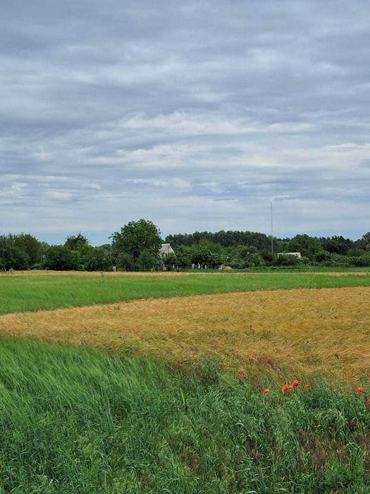 Продам новый 4-х комн. дом, земли 50 сот. Все удобства.