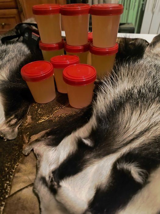 Smalec-Sadło z Borsuka 100ml