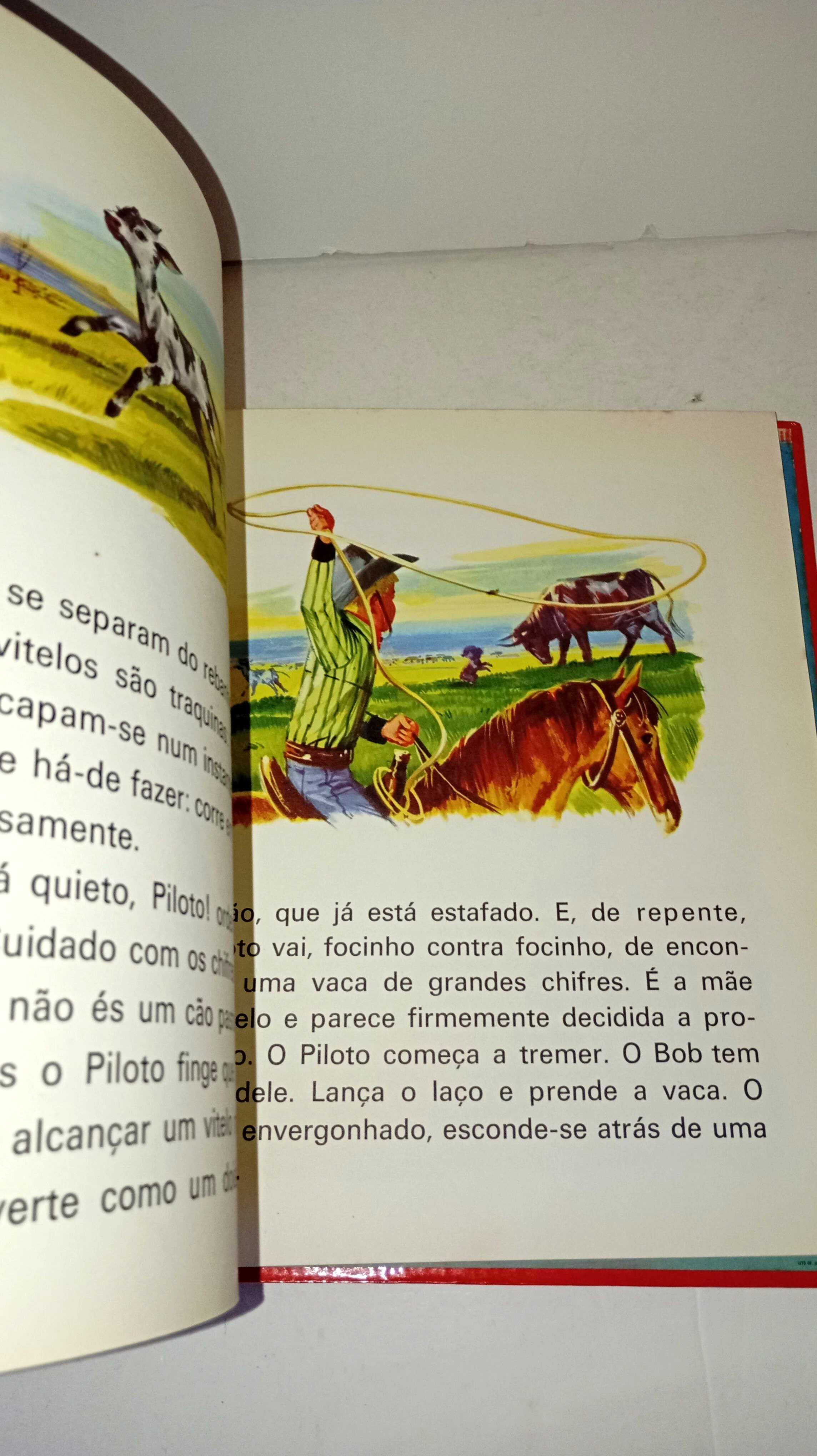 Livro - Tó Vaqueiro