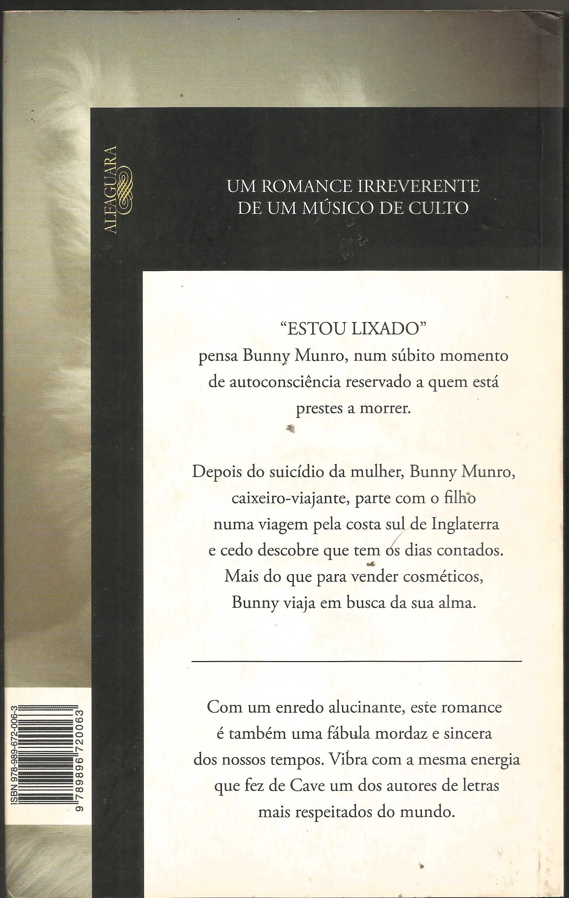 Nick Cave - A morte de Bunny Munro - Portes Grátis