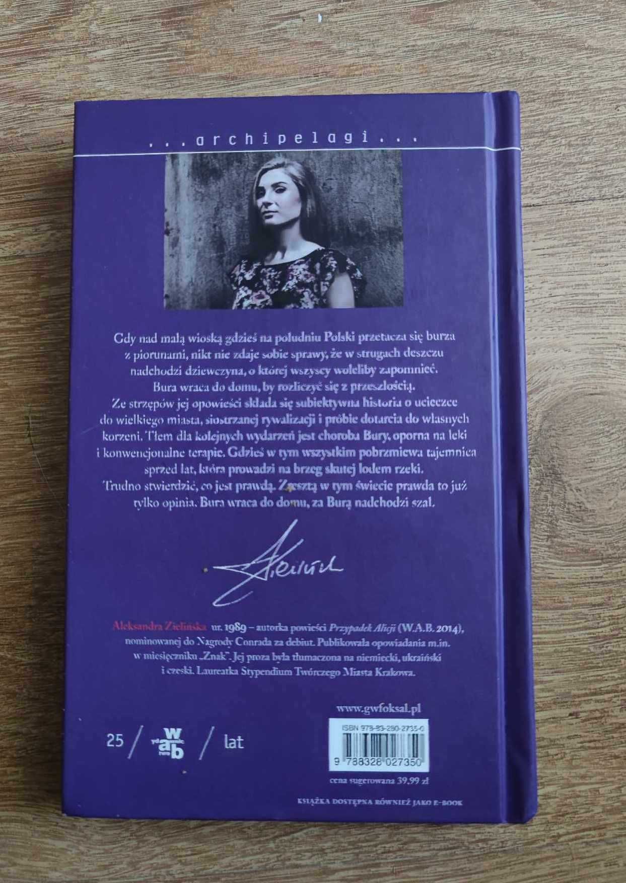 Bura i szał - Aleksandra Zielińska