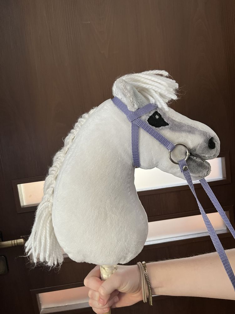 Hobby horse andaluzyjski klacz