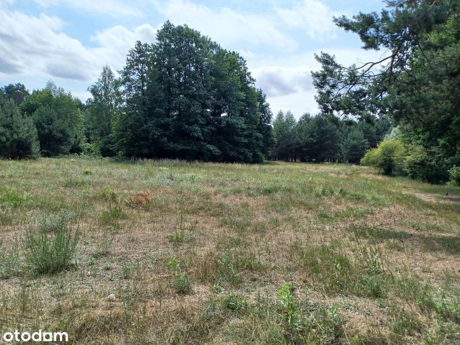Działka 6561m² z dostępem do lasu i jeziora