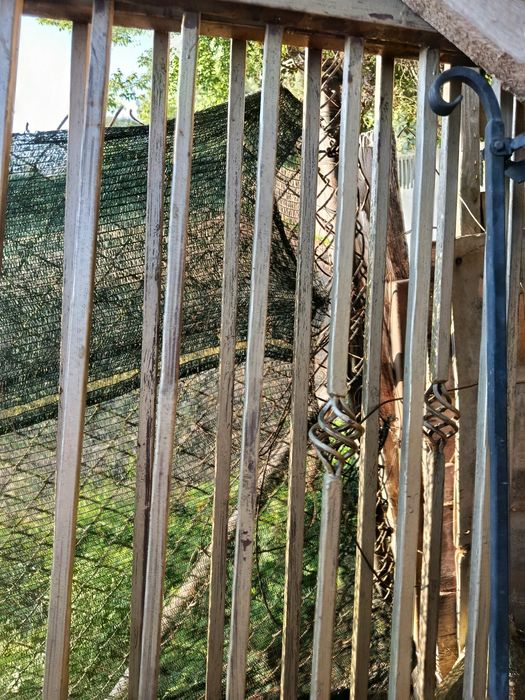 Przęsła ogrodzeniowe stalowe