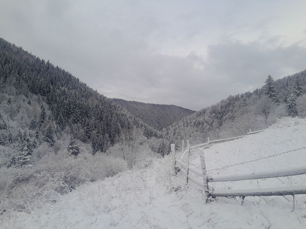 Земельна ділянка у Криворівні