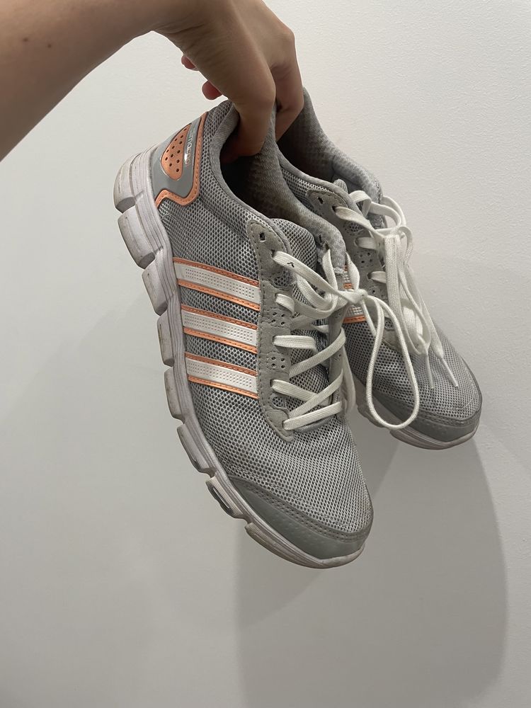 жіночі Adidas clima cool