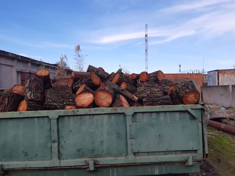 Продам  дрова різних порід