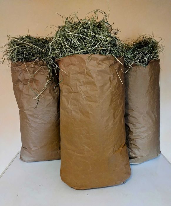 4kg siano dla królika z młodą tymotką , gratis gryzaki BOROWIK