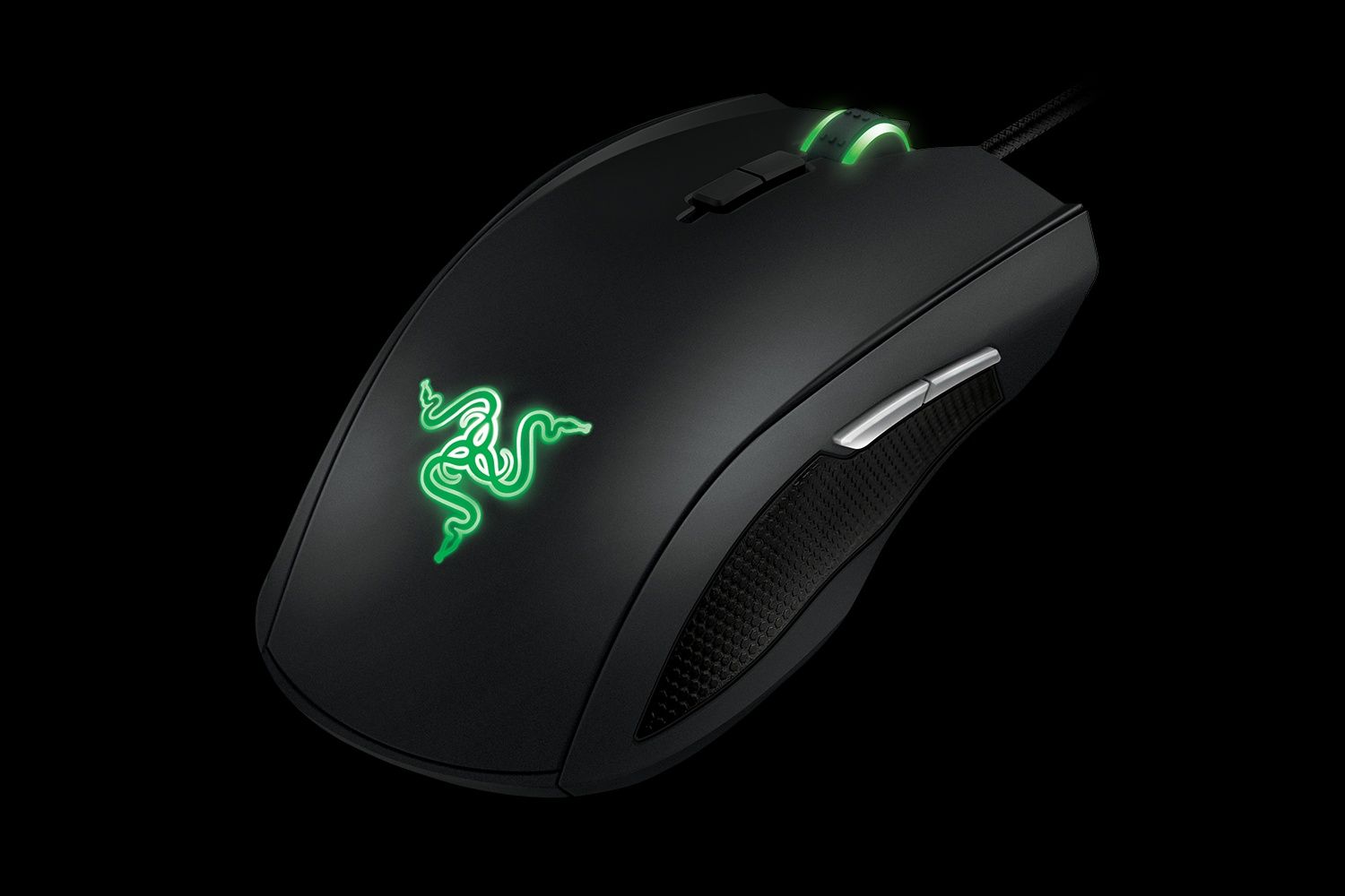 Rato Razer Taipan