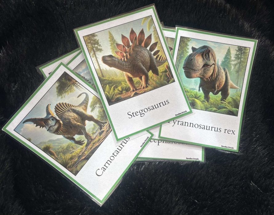 Karty demonstracyjne Karty pracy montessori Dinozaury laminowane