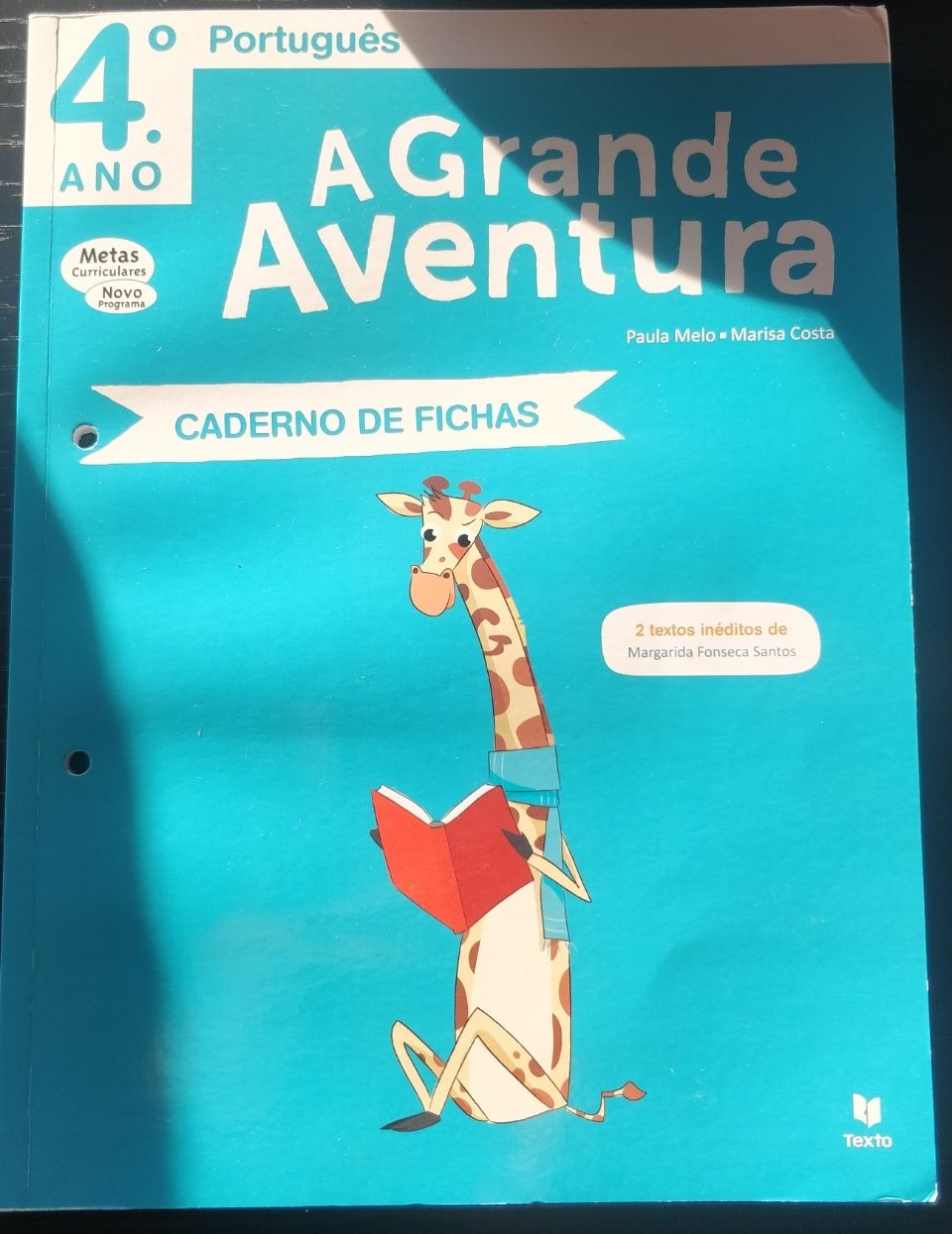 Caderno fichas 4 ano português - a grande aventura