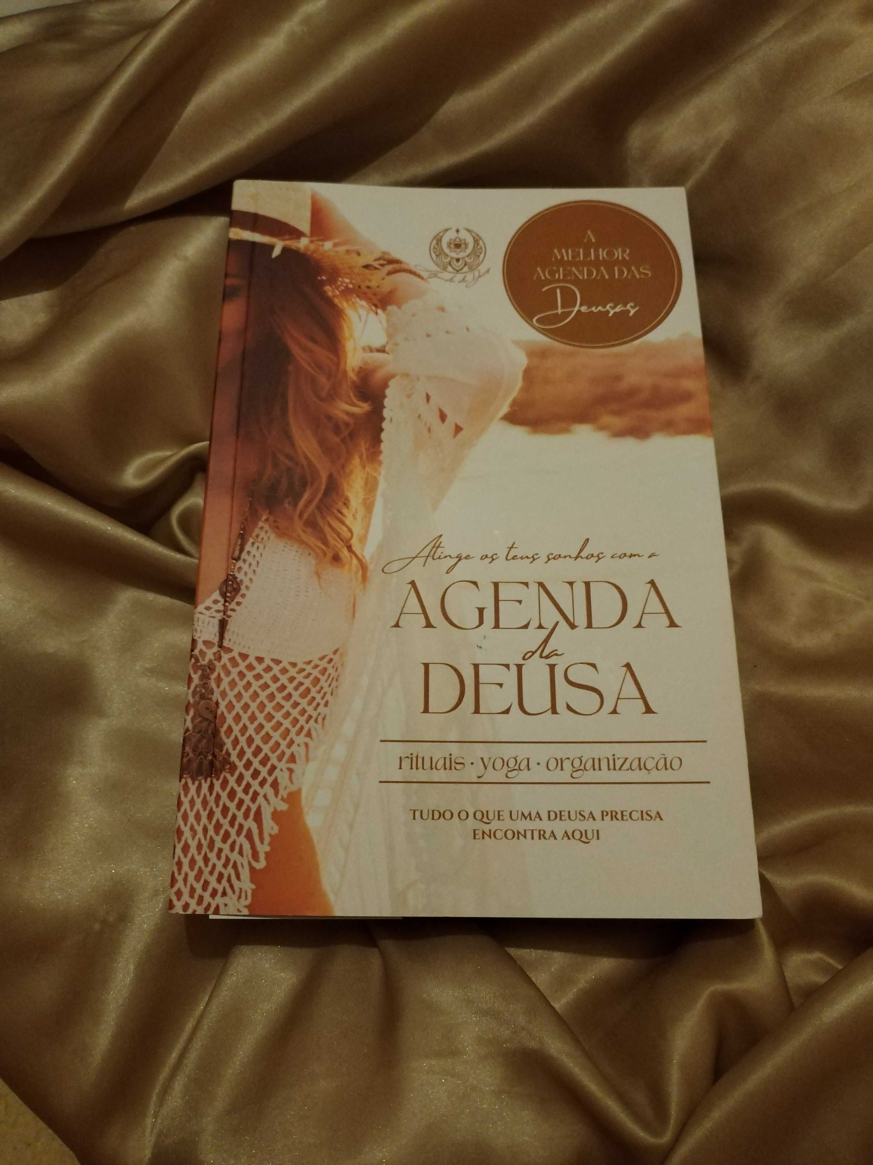 Agenda  organização