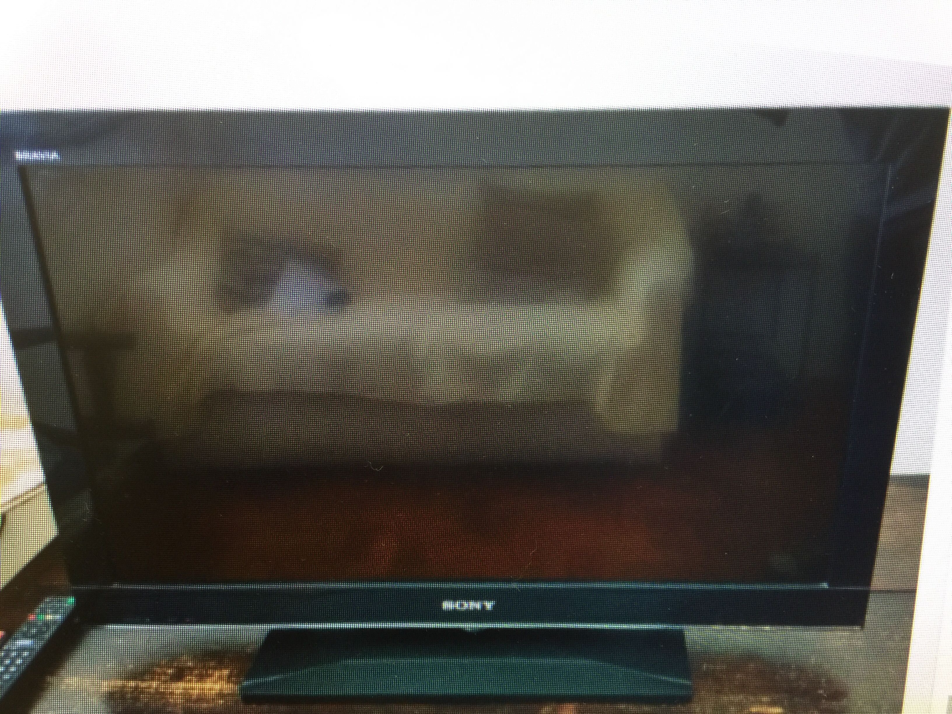 Vendo TV Sony Bravia com 13 anos