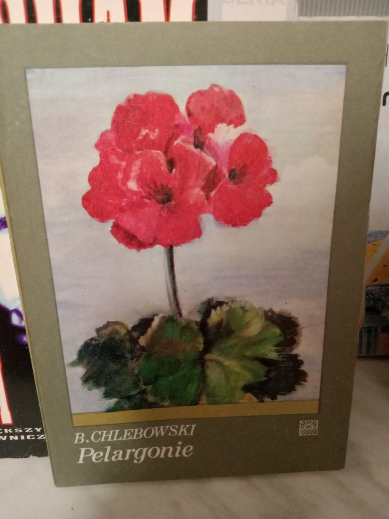 Pelargonie , Bolesław Chlebowski.