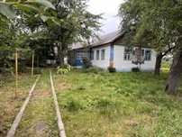 Будинок,дача,приватна садиба,с.Степанівка,Ємільчине.