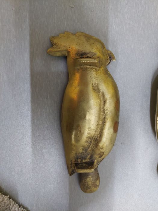 2 papagaio covilhetes