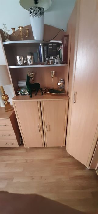 Meblościanka Młodzierzowa Jasny dąb