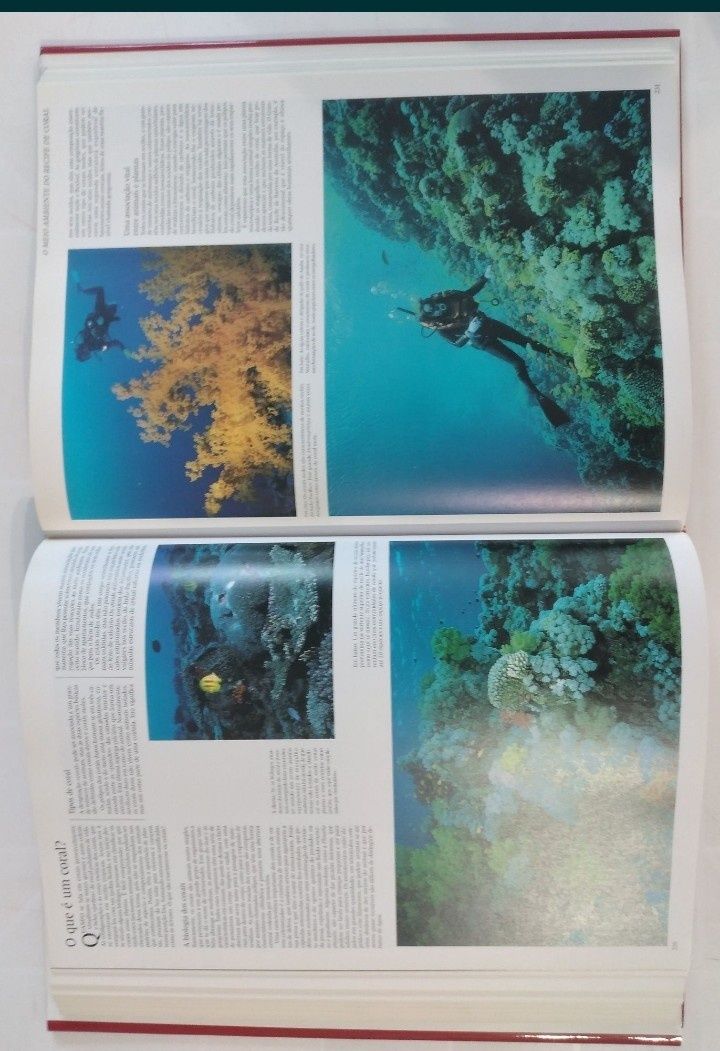 Atlas dos Oceanos - livro novo na caixa original
