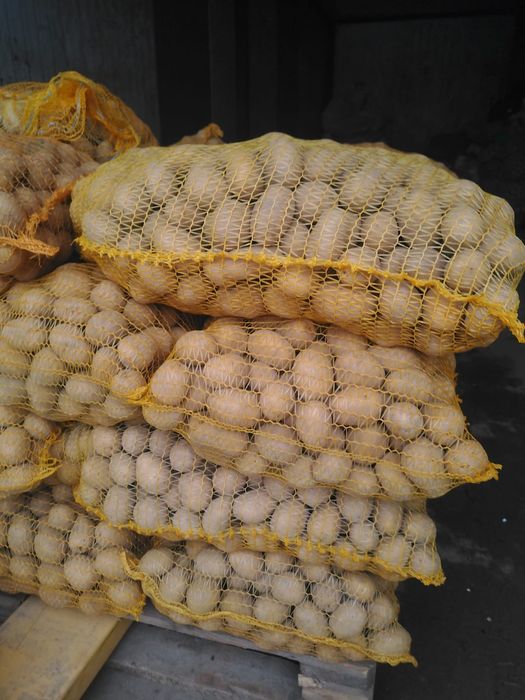 Sprzedam ziemniaki jadalne