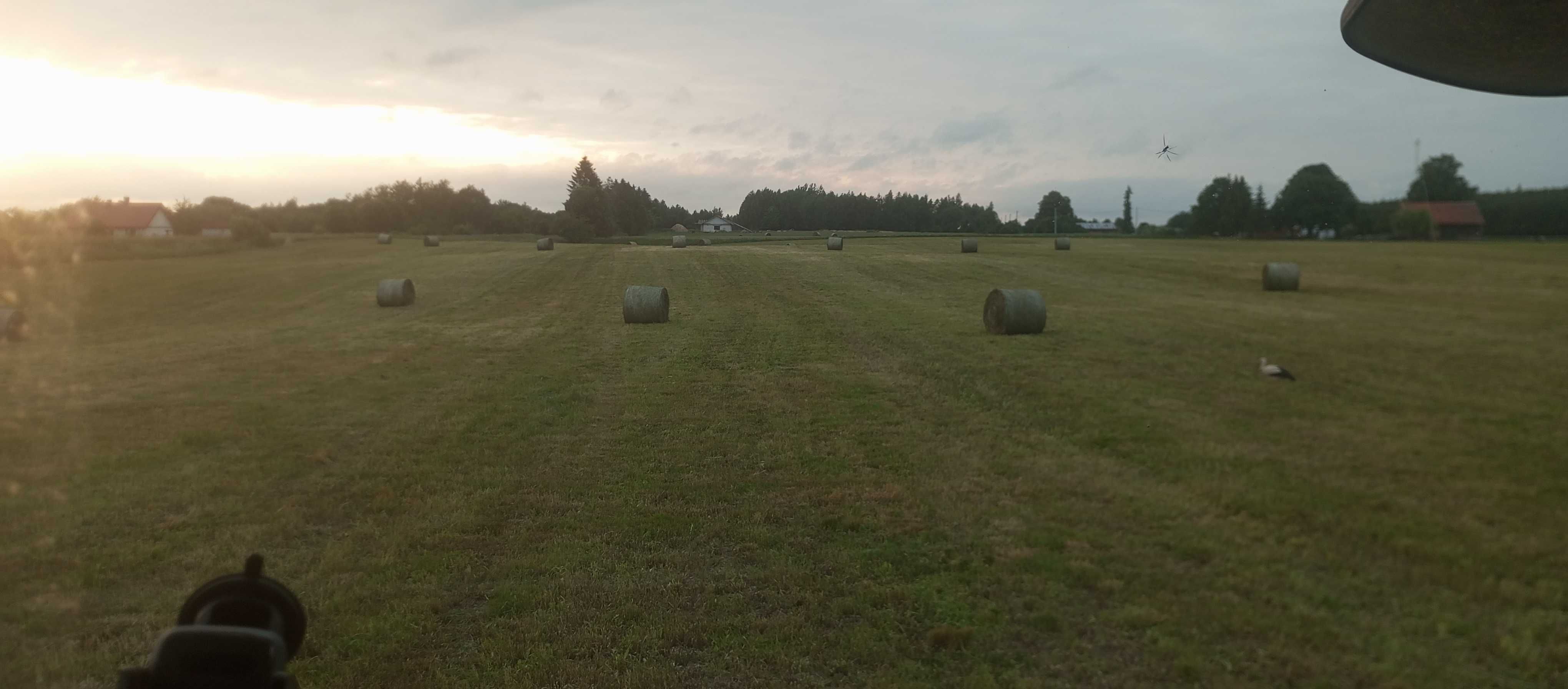 Sprzedam siano po prasie pasowej