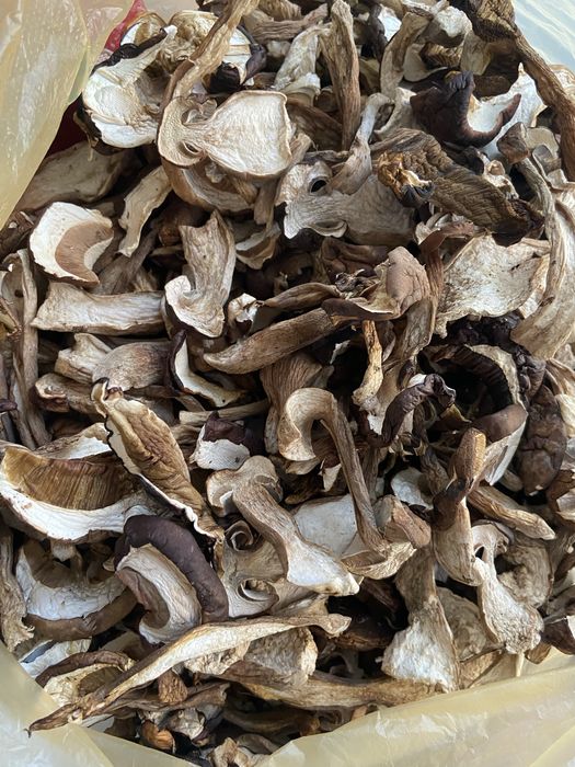 Сушені білий гриб та польський