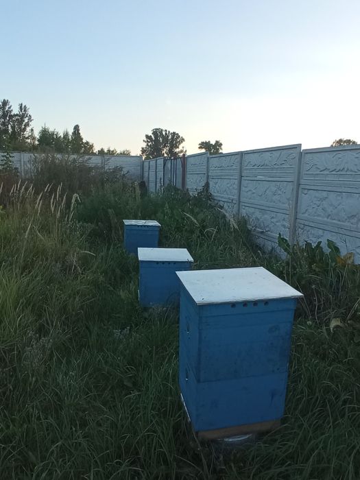 Продам вулики нові та б/у