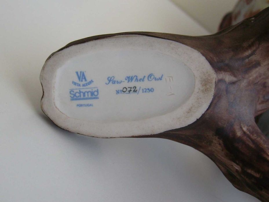 Coruja Saw-whet Owl - Vista Alegre