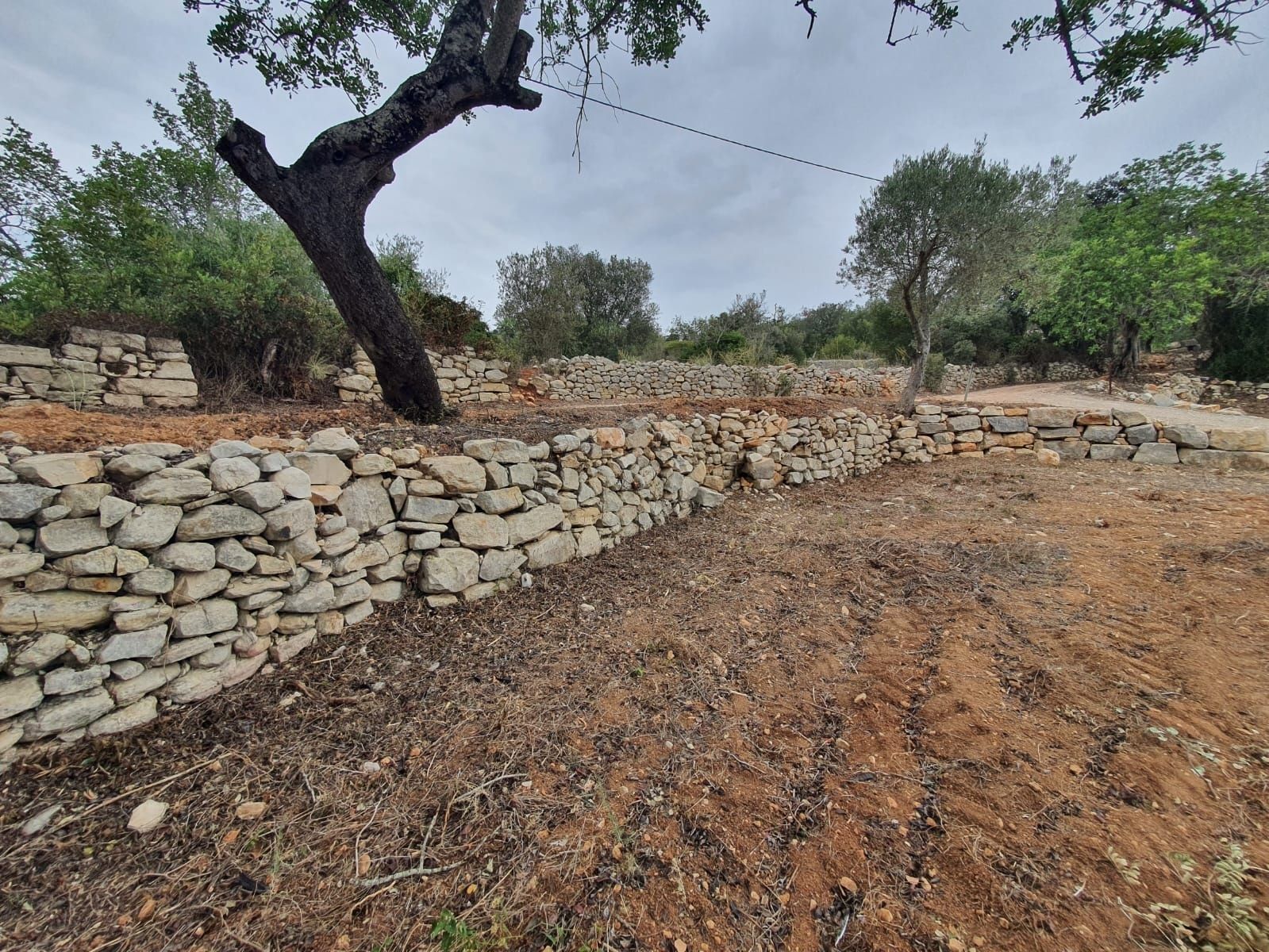 Limpeza e desmatação de terrenos .