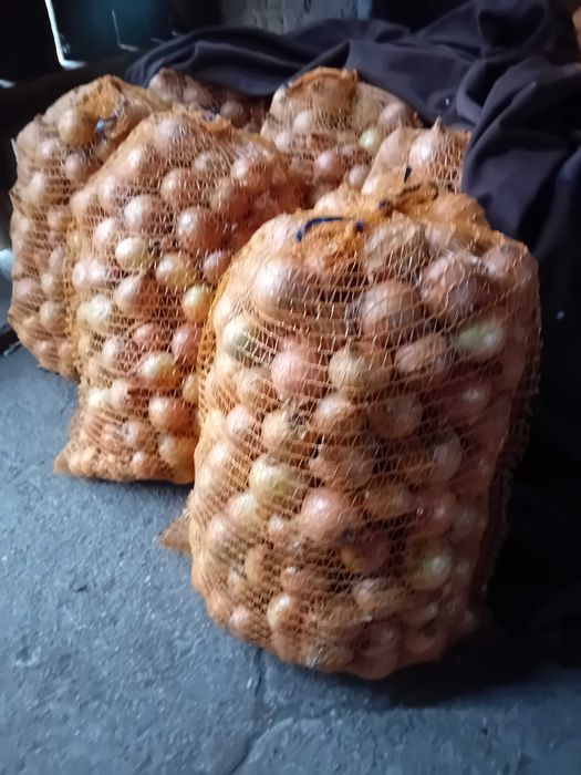 Cebula worek 15 kg