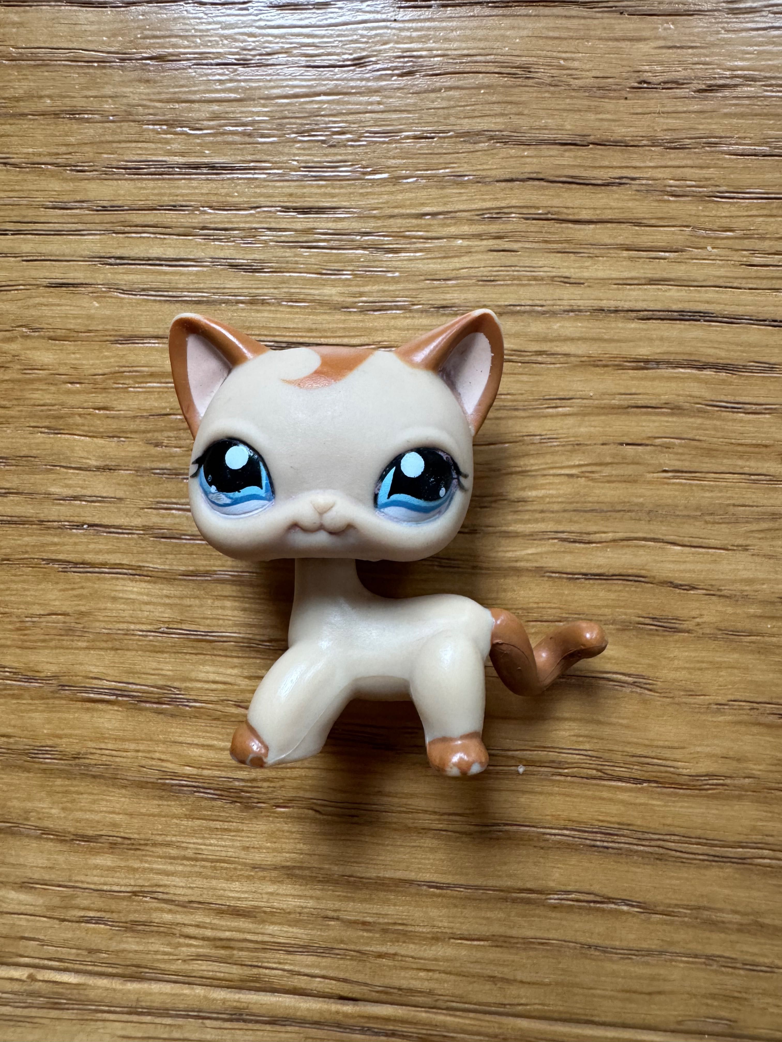 lps shorthair 1024 littlest pet shop
