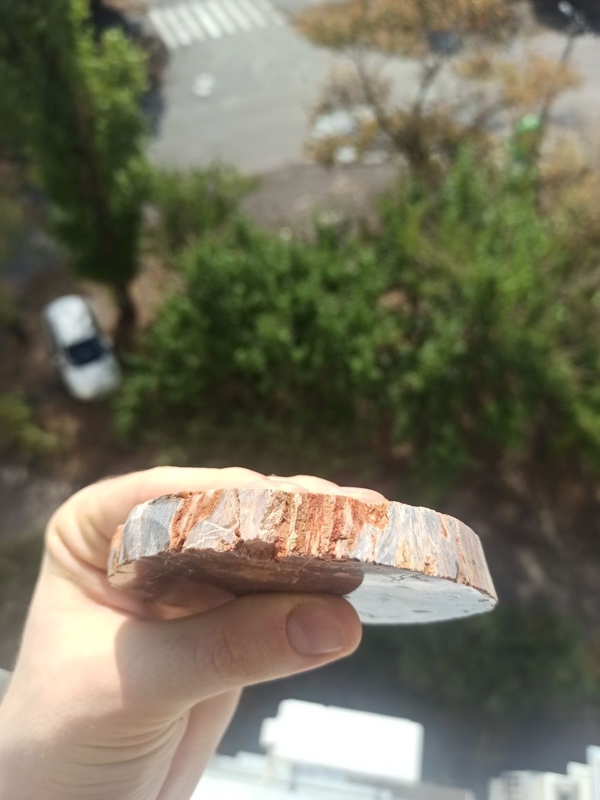 Натуральне скам'яніле дерево!Мадагаcкар,близько 200 млн.років,мінерали