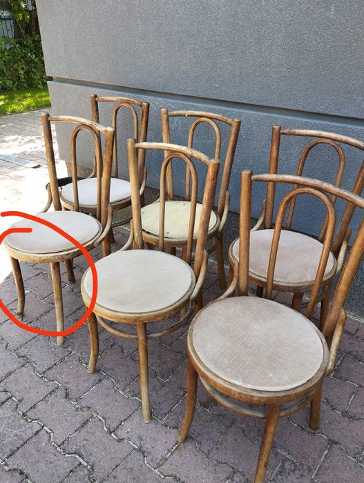 Krzesła 4 szt Thonet Fameg