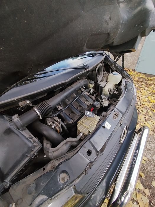 Вито в хорошем состоянии