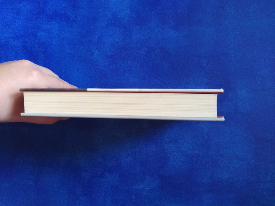 O jogo do poder de Danielle Steel