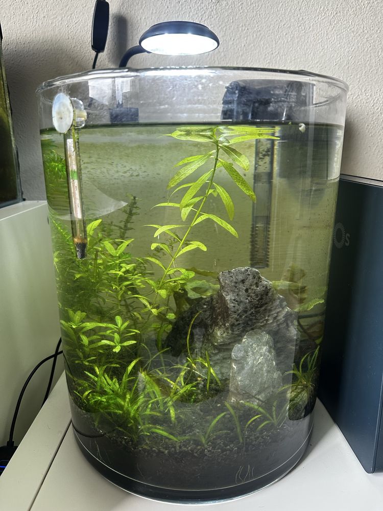 Aquario completo