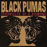 Вінілова платівка Chronicles Of A Diamond Black Pumas