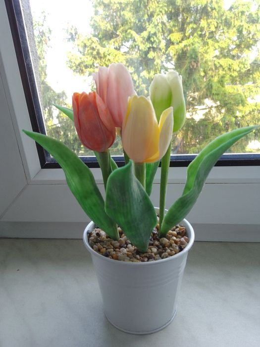 Kwiaty tulipany dekoracja w doniczce