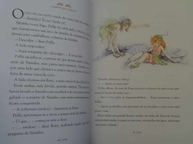 As Fadas e o Feitiço do Fogo de Gail Carson Levine