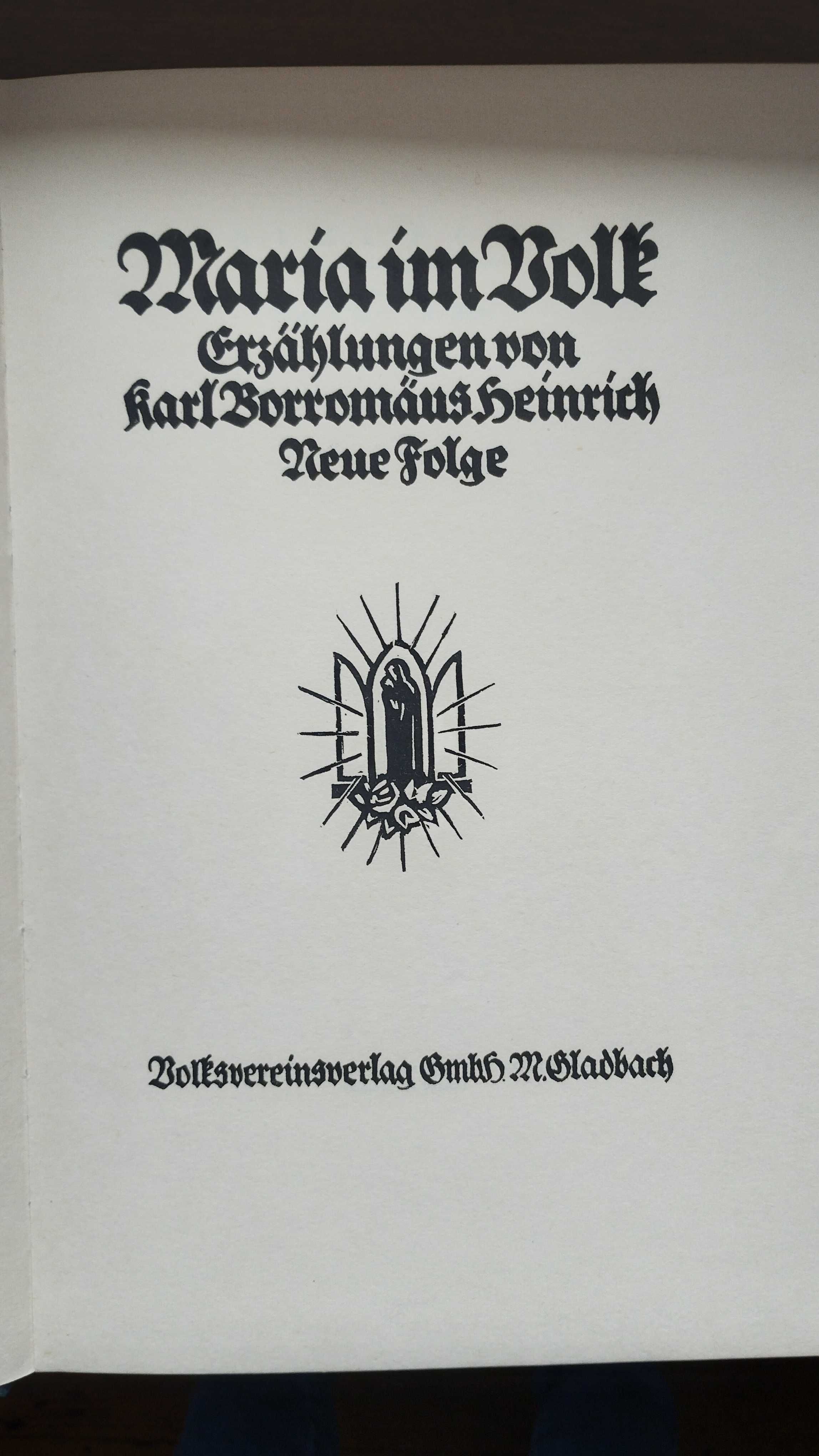 Książka międzywojenna po niemiecku z 1928 roku antyk